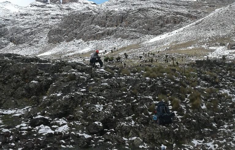 Mountain climbing benefits