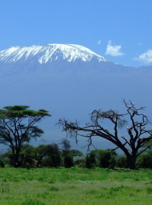 Mount Kilimanjaro climbing