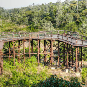 Nairobi national park